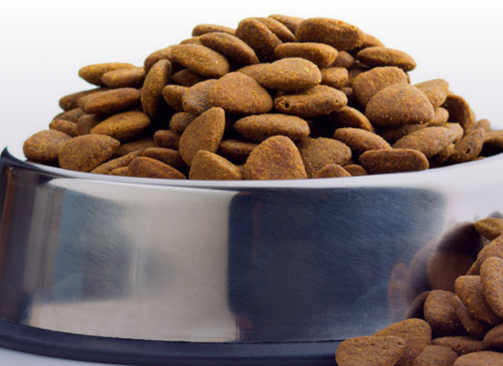 Why do some vets recommend and sell kibble?