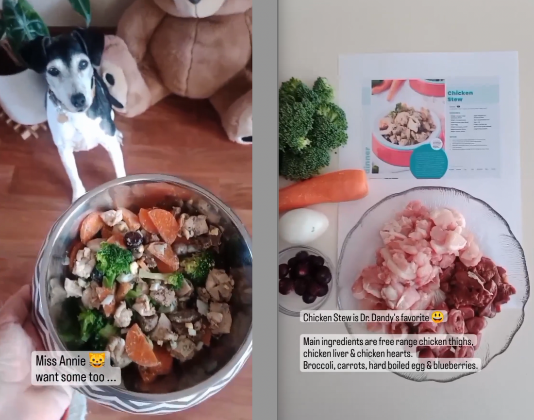 Reviews of Healthy Active Pet Recipes And Meal Plans
