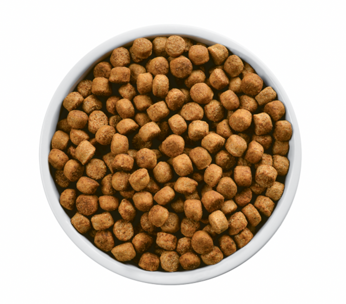 6 issues with kibble you need to know