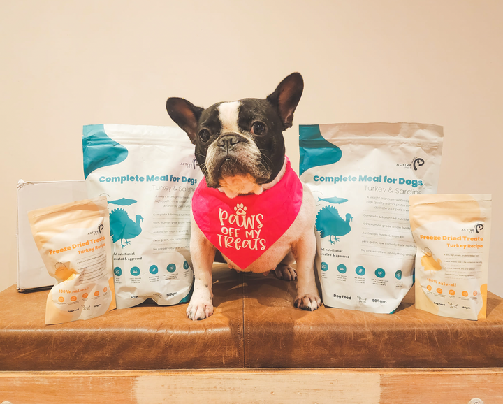 Review of Healthy Active Pet Dog Food