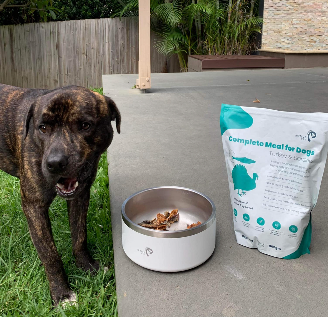 What is the difference between air dried and freeze dried dog food