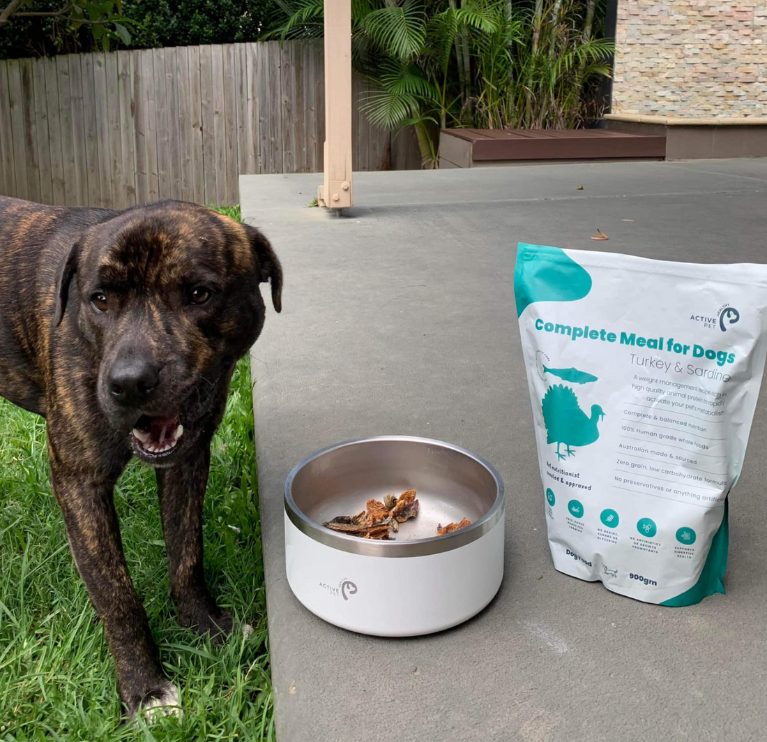 Unveiling the Best Dog Food