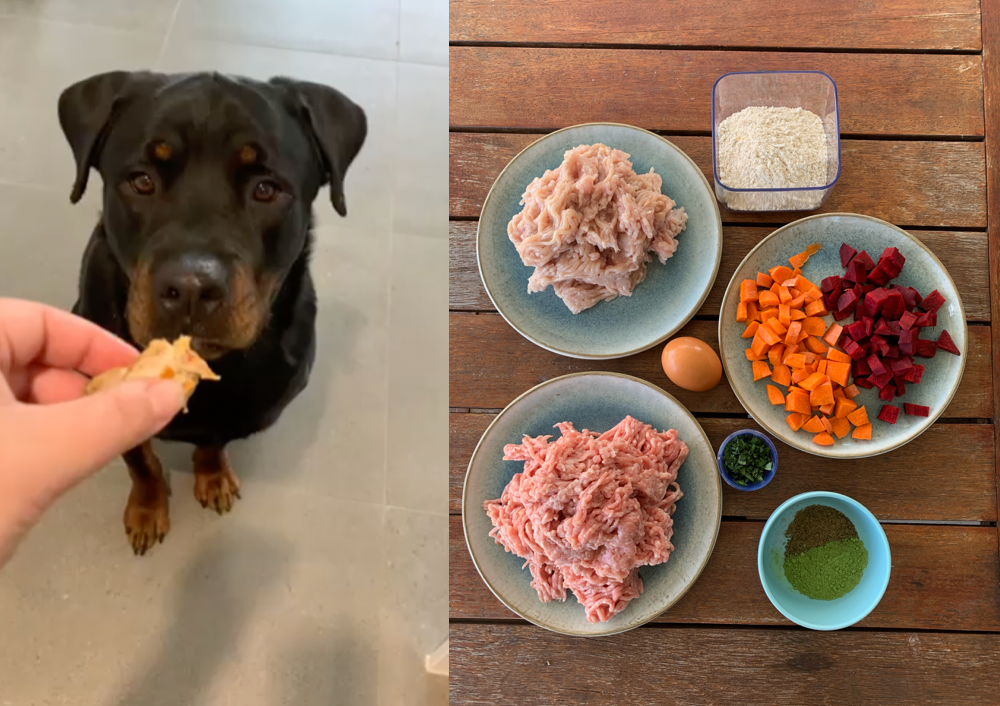 Can dogs best sale eat meatloaf