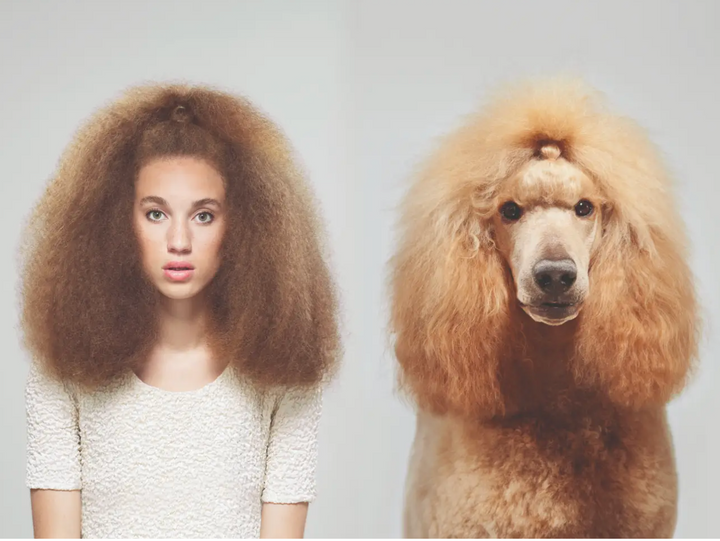 Dogs that look like their owners - MUST SEE!