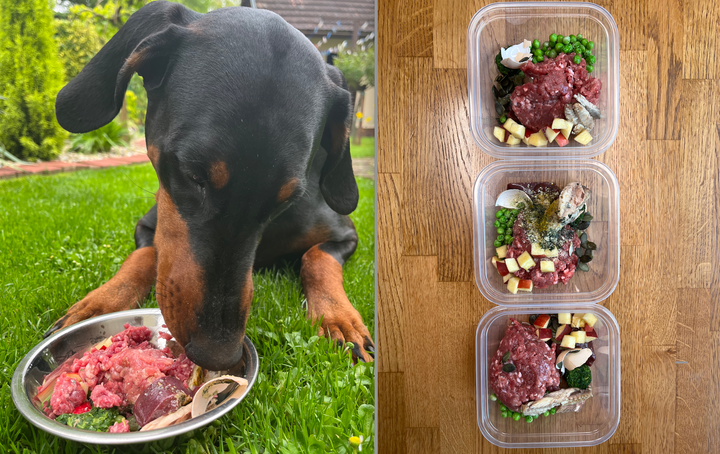 Raw Dog Food Recipe - Roo & Beef