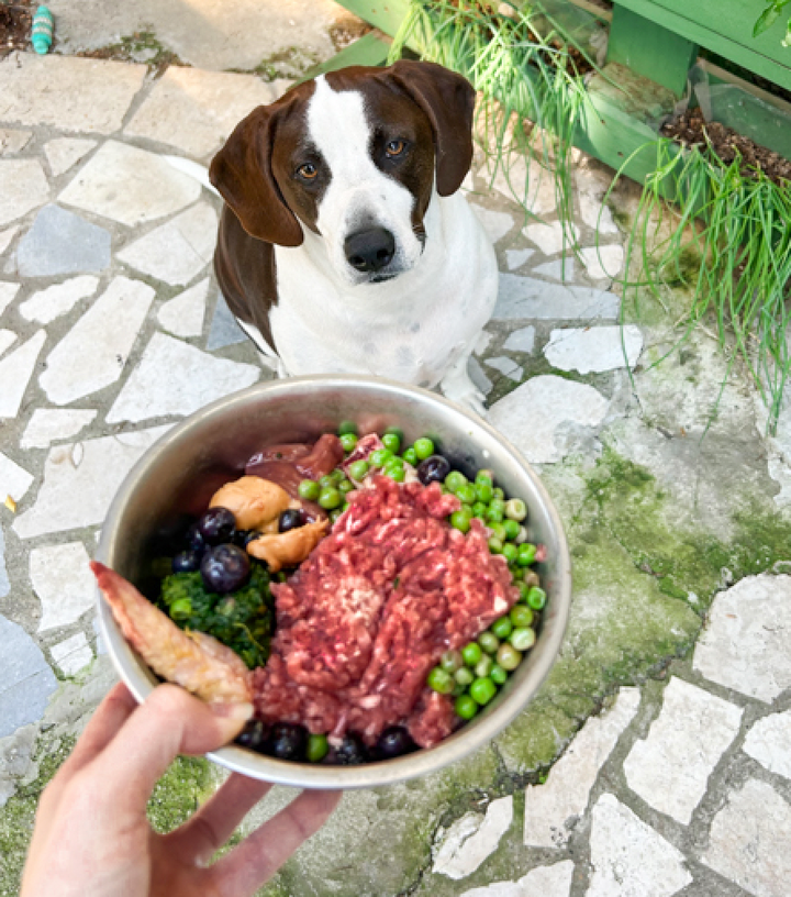 Budget Raw Feeding Dog Recipe Using Beef