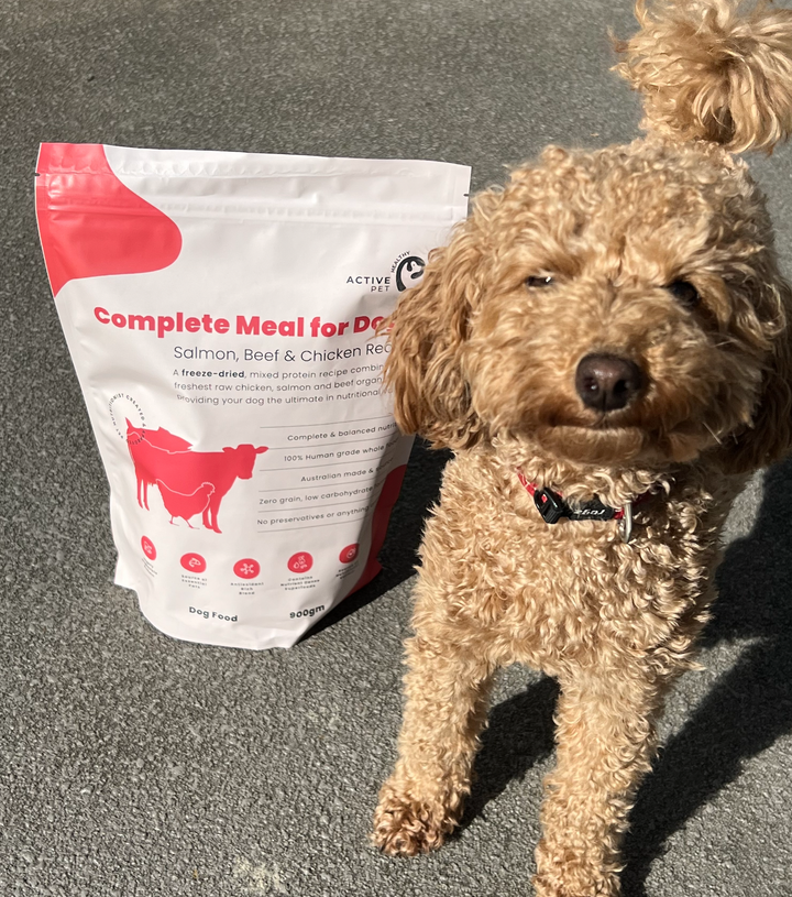 What is the benefit of feeding freeze dried dog food?