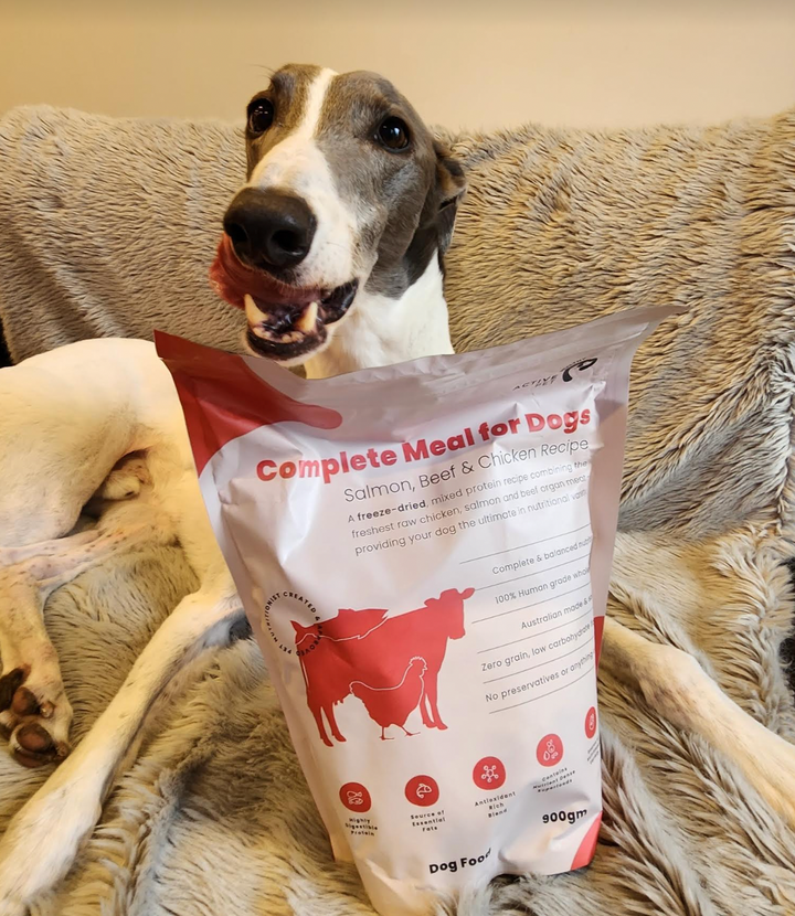 Freeze dried dog food reviews