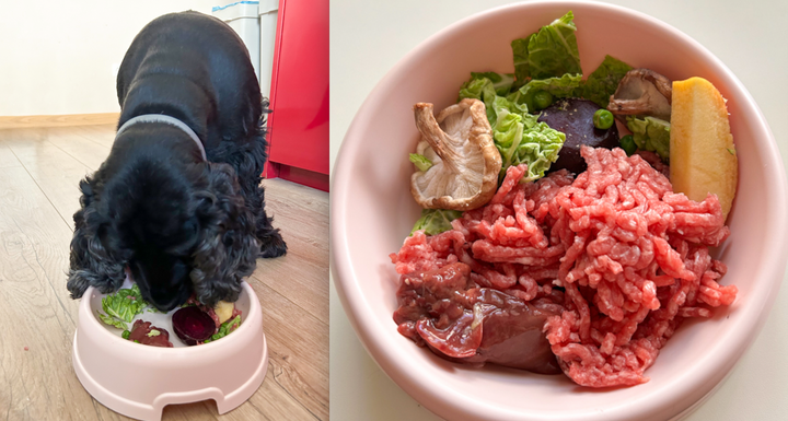 Raw dog food recipe on a budget - from only $1.15 a day!