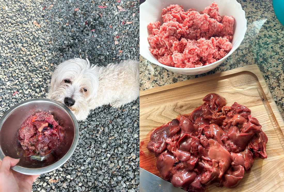 How to start on a raw dog food diet