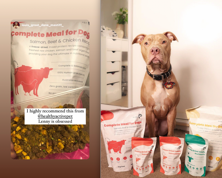 How to rate freeze dried dog food