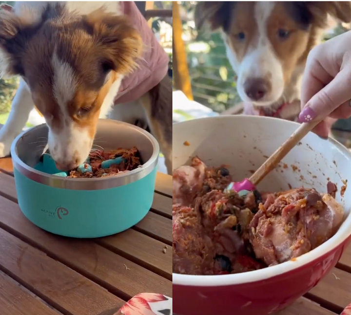 Daisy makes a puppy raw dog food recipe