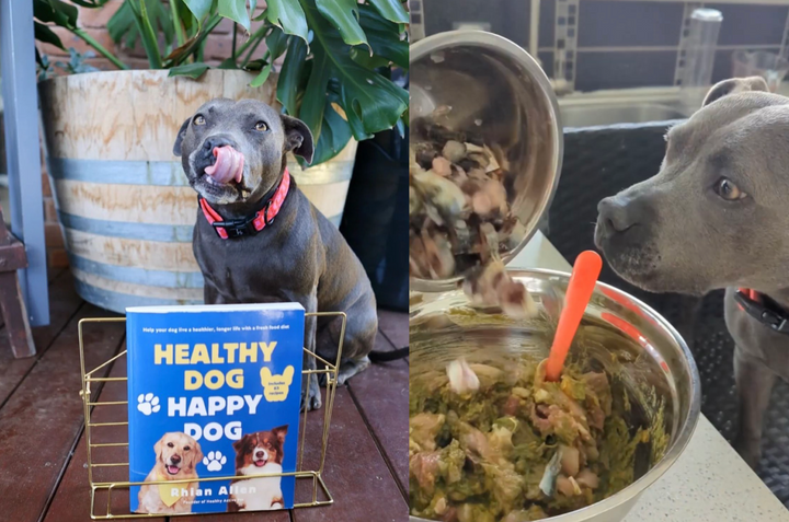 Juniper reviews the raw feeding dog food recipes in Healthy Dog Happy Dog Book