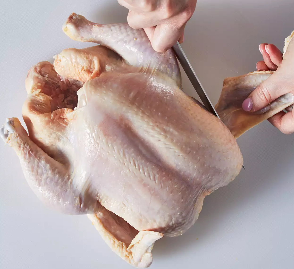 If dog is allergic to chicken can they eat turkey best sale