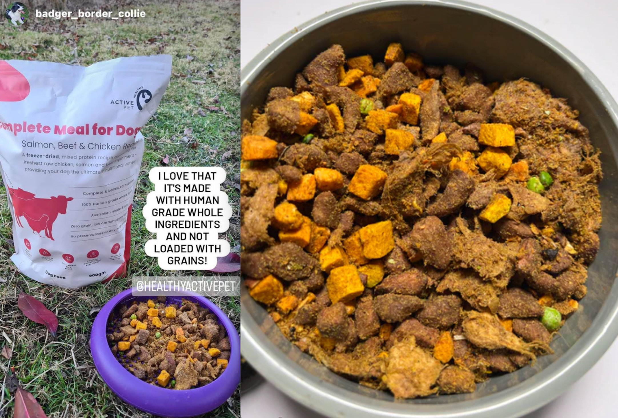 How much protein is in freeze dried dog food Healthy Active Pet