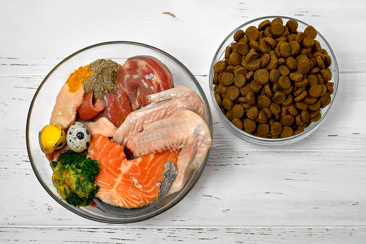 Why kibble can be unhealthy for your dog