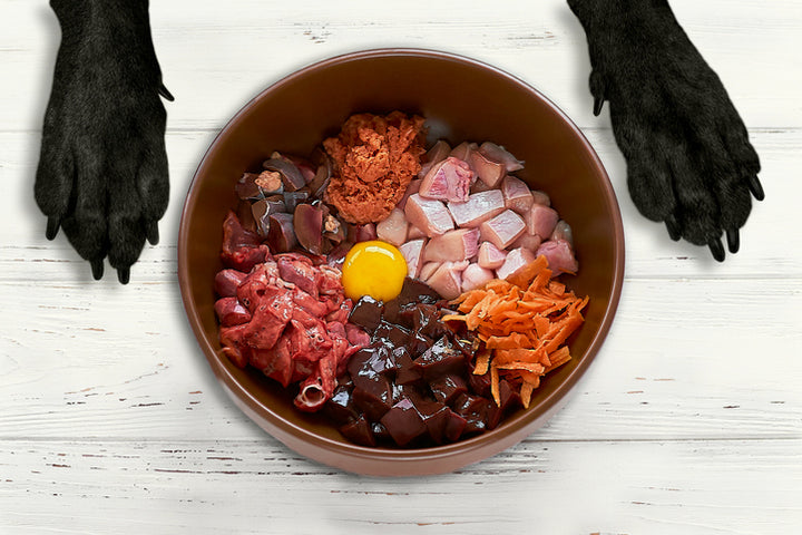 How a raw dog food diet improves digestion