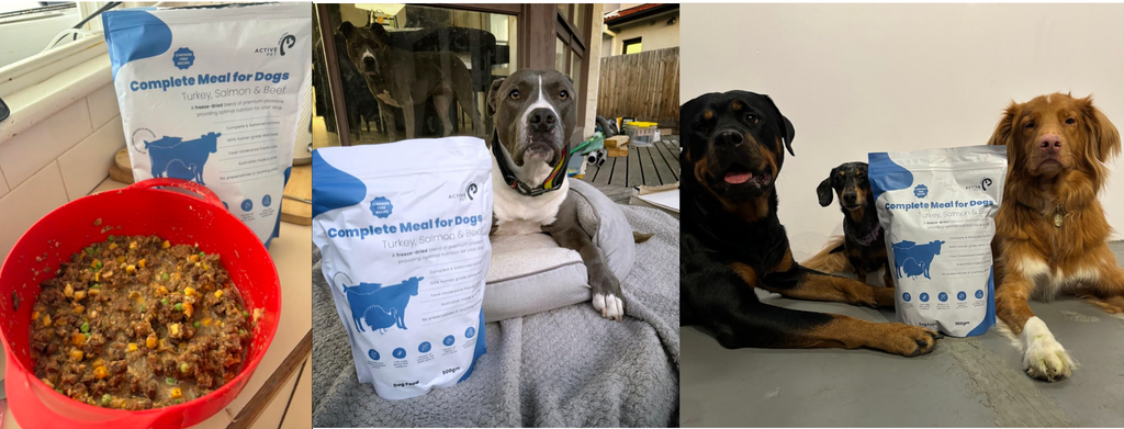 Dog owners review dog food without chicken