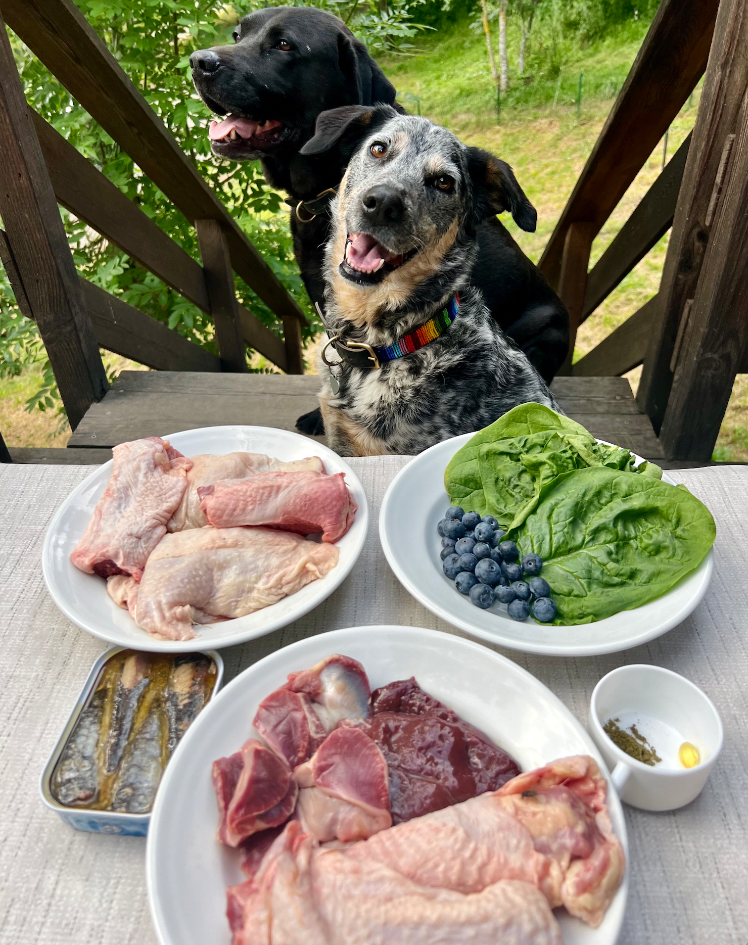 Feeding dogs hotsell raw pork