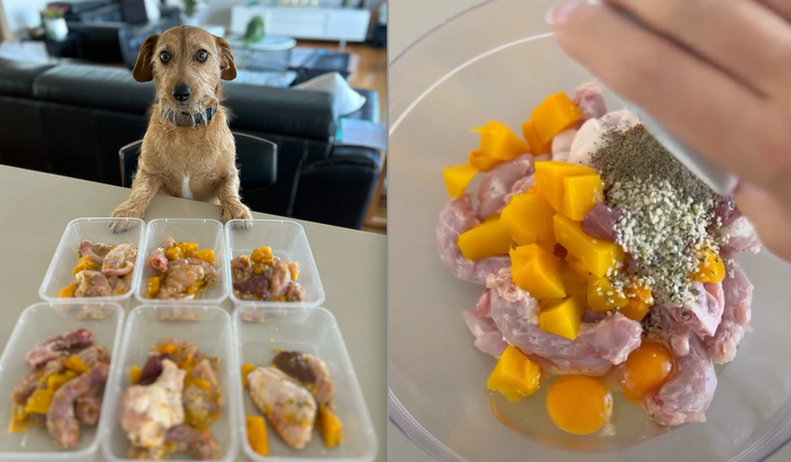 Mel and Sunny road test raw dog food recipes