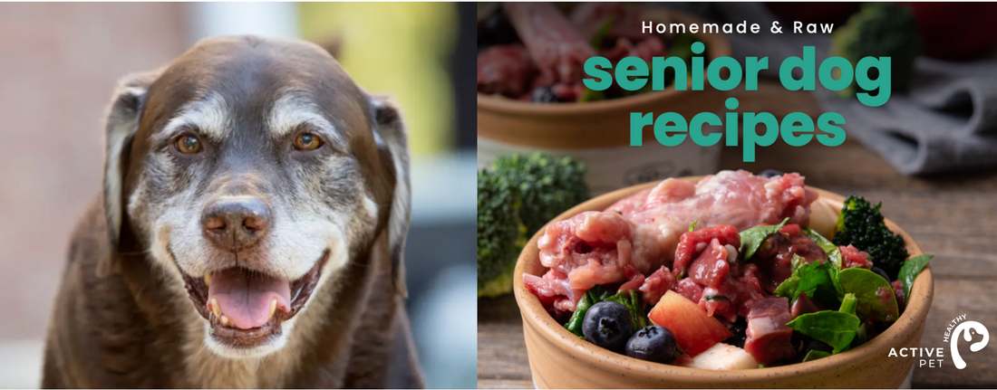 Homemade dog food for senior dogs online