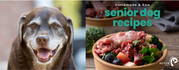 Why Senior Dog Food And Senior Dog Diet Has Different Nutritional Needs