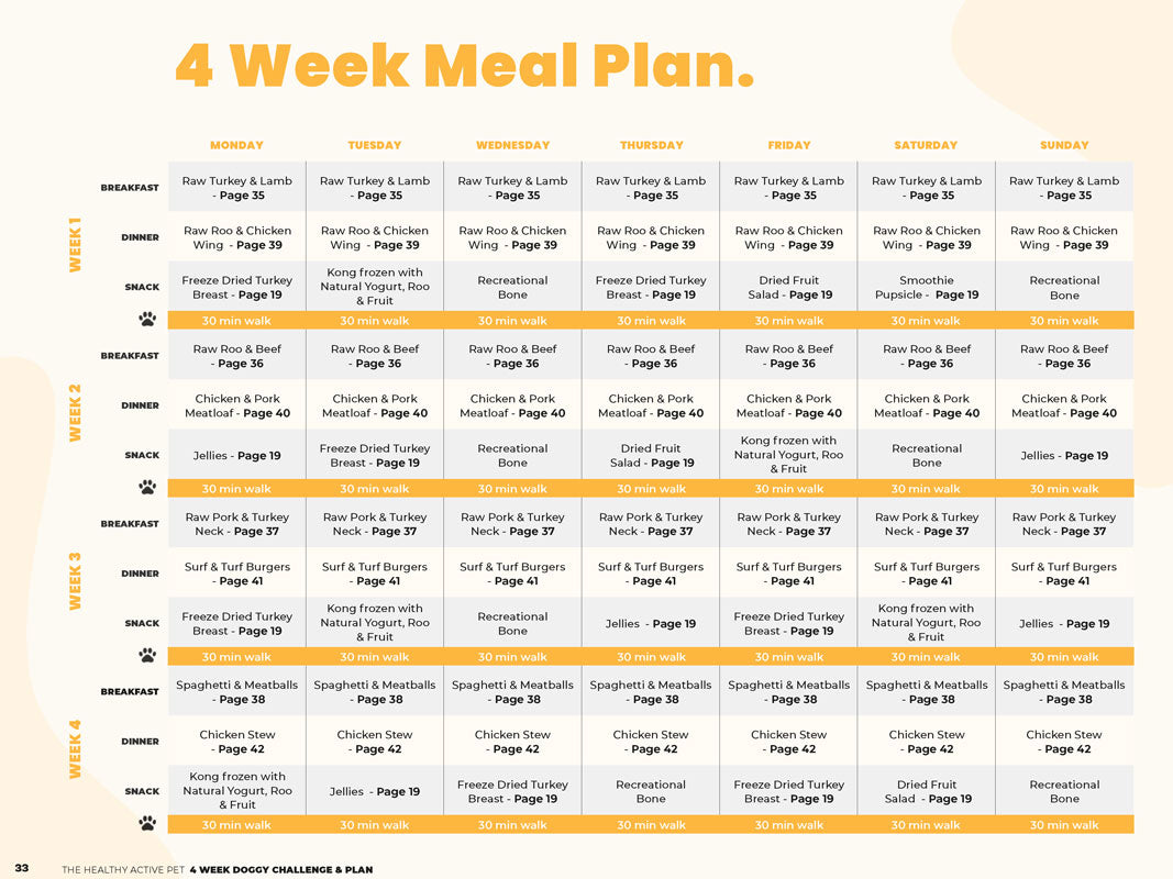 Dog diet plan hotsell