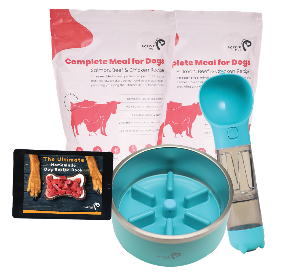 Double Pack Complete Freeze Dried Raw Dog Food Meal , Slow Feeding Dog Bowl,  Water Bottle & Recipe eBook