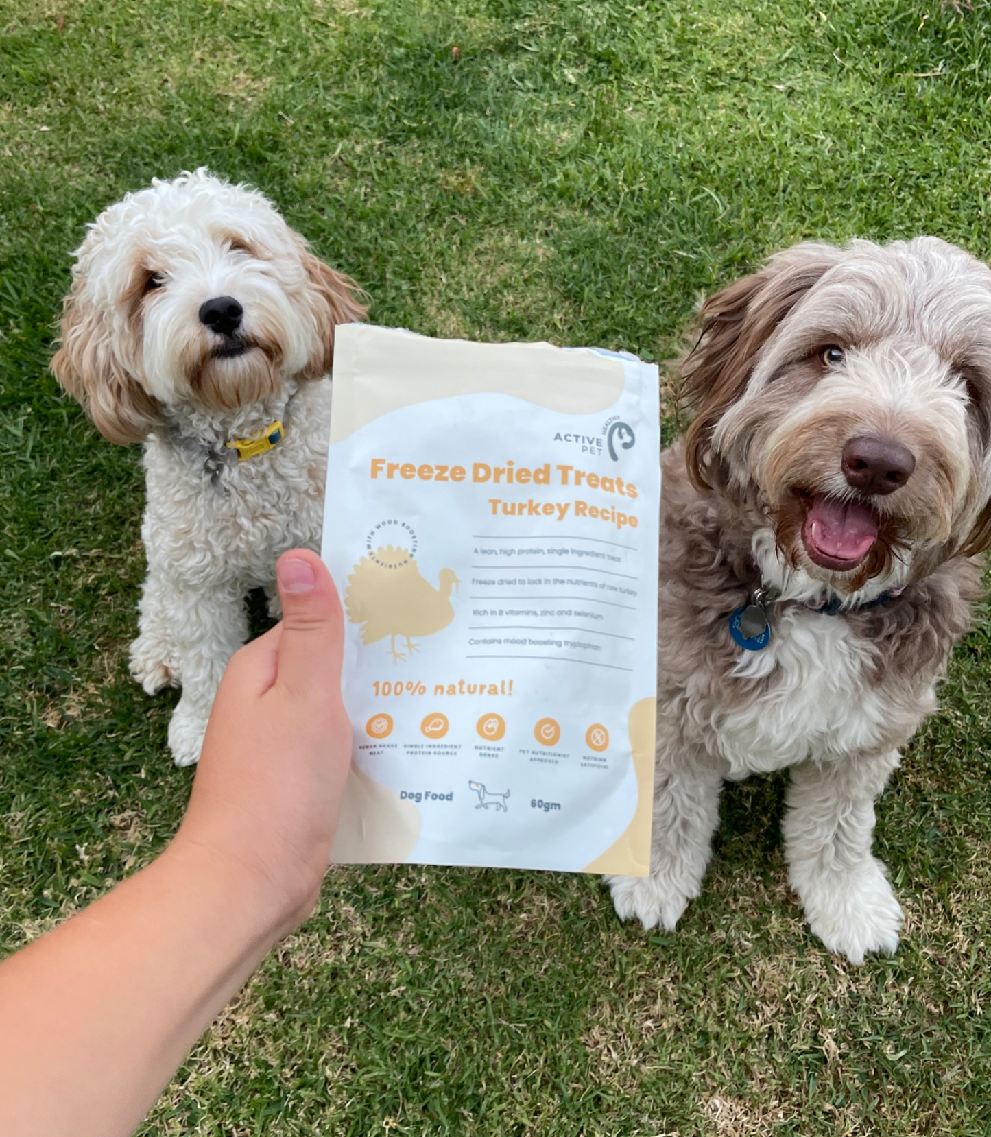 Buy 3 Get 1 FREE Freeze Dried Treats