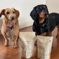 Buy 3 Get 1 FREE Freeze Dried Treats