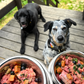 Dog Raw Feeding Recipe Book Bundle VALUE Pack - Save 10%
