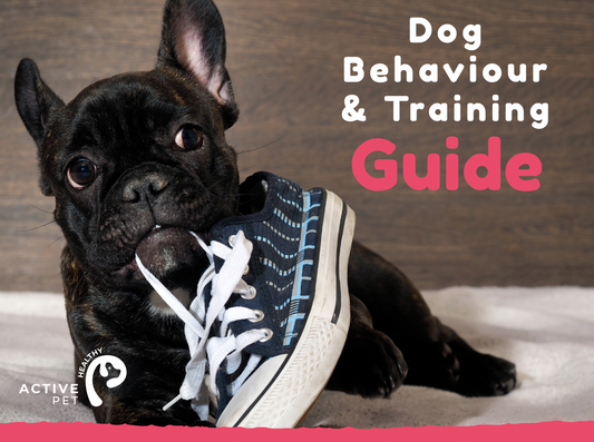 Dog Behaviour & Training eBook - VIP OFFER