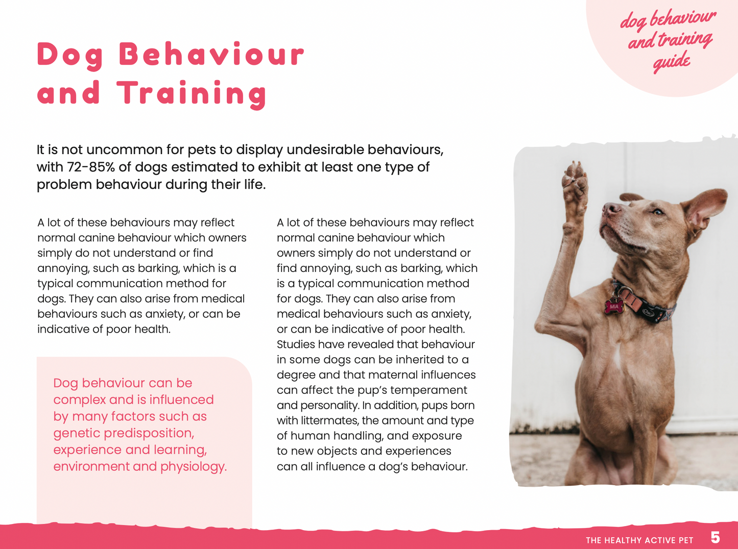 Dog Behaviour & Training Guide - VIP OFFER