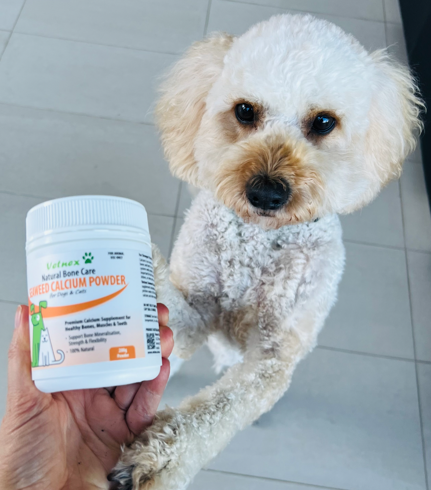 Vetnex Seaweed Calcium Powder for Dogs & Cats 200g