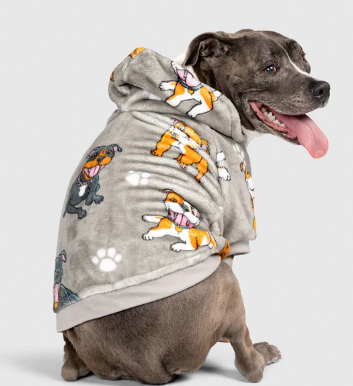 Staffy dog outlet clothes