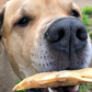 Salmon Bellies Freeze Dried Dog Food Treat