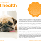 Home Made Dog Treats Recipe eBook