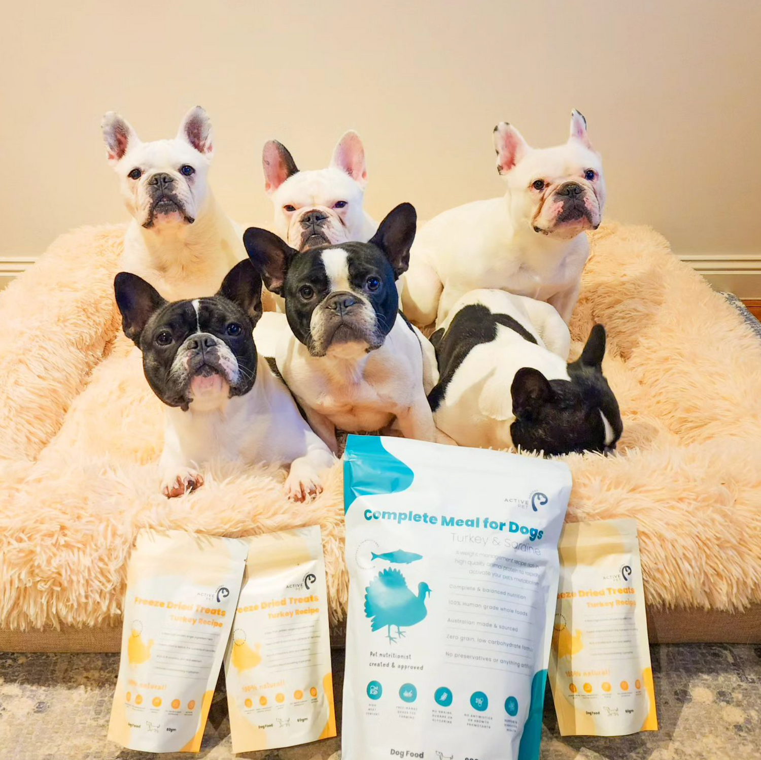 Healthy pet dog sales food