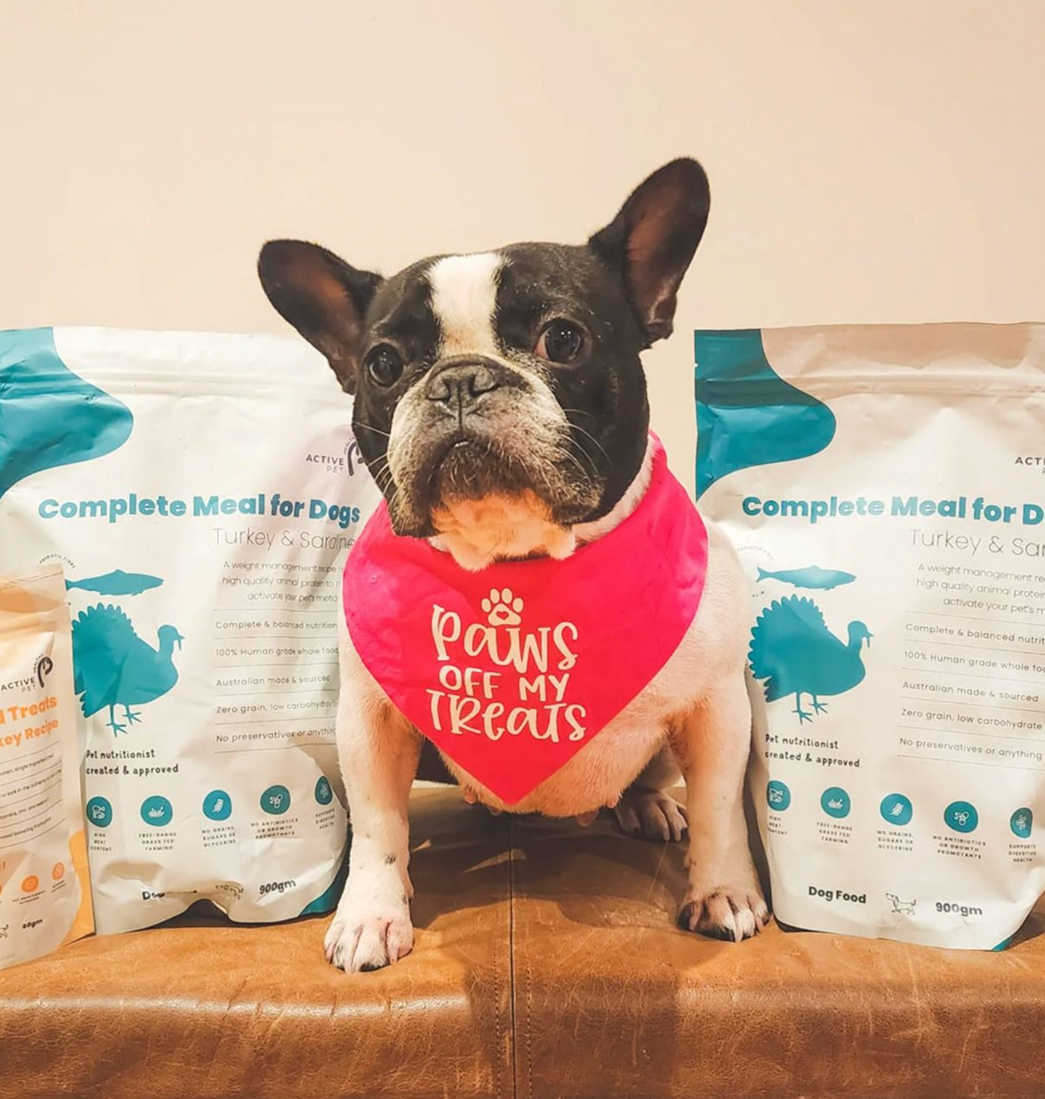 Premium air and freeze dried dog food