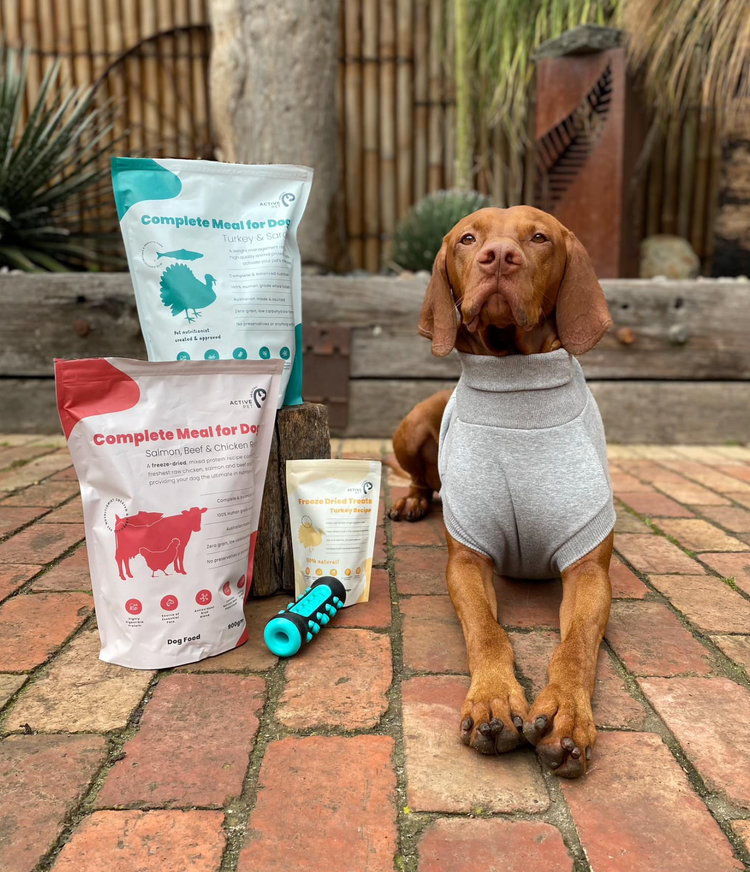 Best weight loss diet for dogs Healthy Active Pet