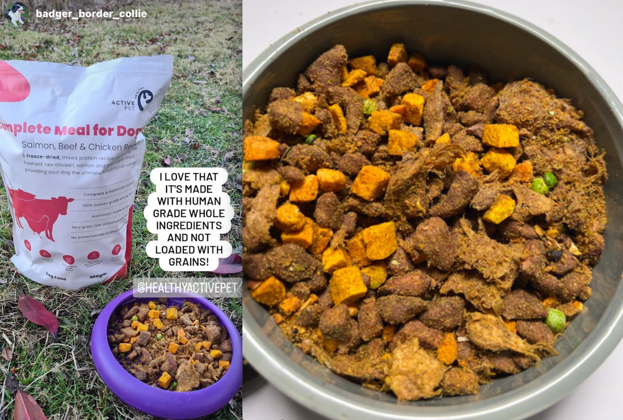 Complete Freeze Dried Raw Dog Food Meal  & Slow Feeding Dog Bowl Pack