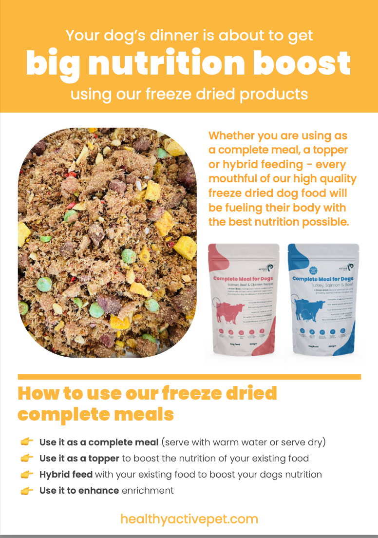 Freeze Dried Raw Dog Food - Beef & Salmon Recipe