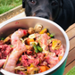 The Starter Guide To Raw Feeding Your Dog