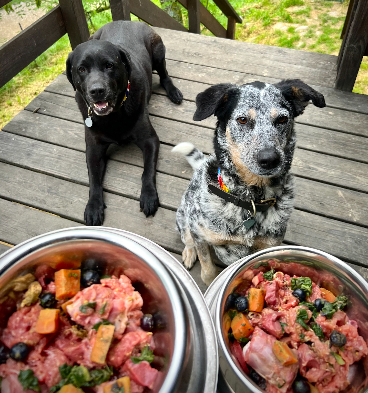 Can i cook clearance raw dog food