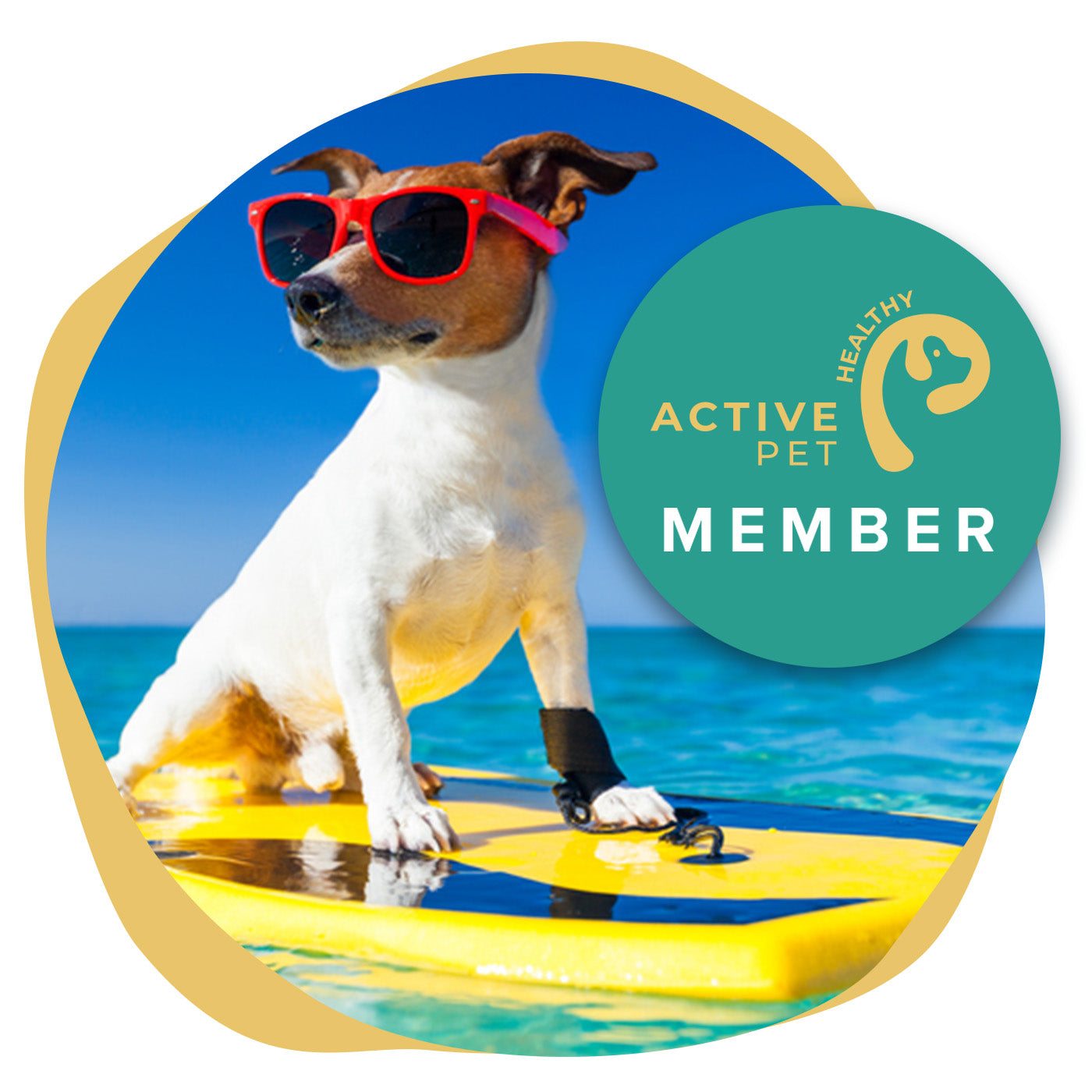 Lifetime membership Plus BONUS hard copy of Healthy Dog Happy Dog Book