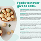 Homemade Cat Weight Loss Recipes & 4 Week Program