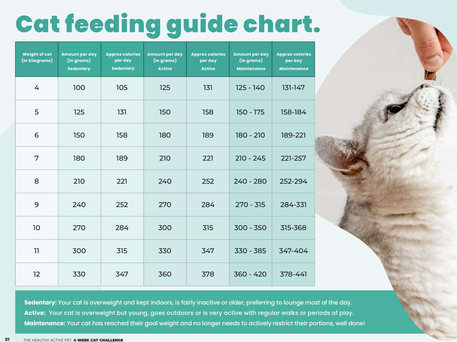 Homemade Cat Weight Loss Recipes 4 Week Program Healthy Active Pet