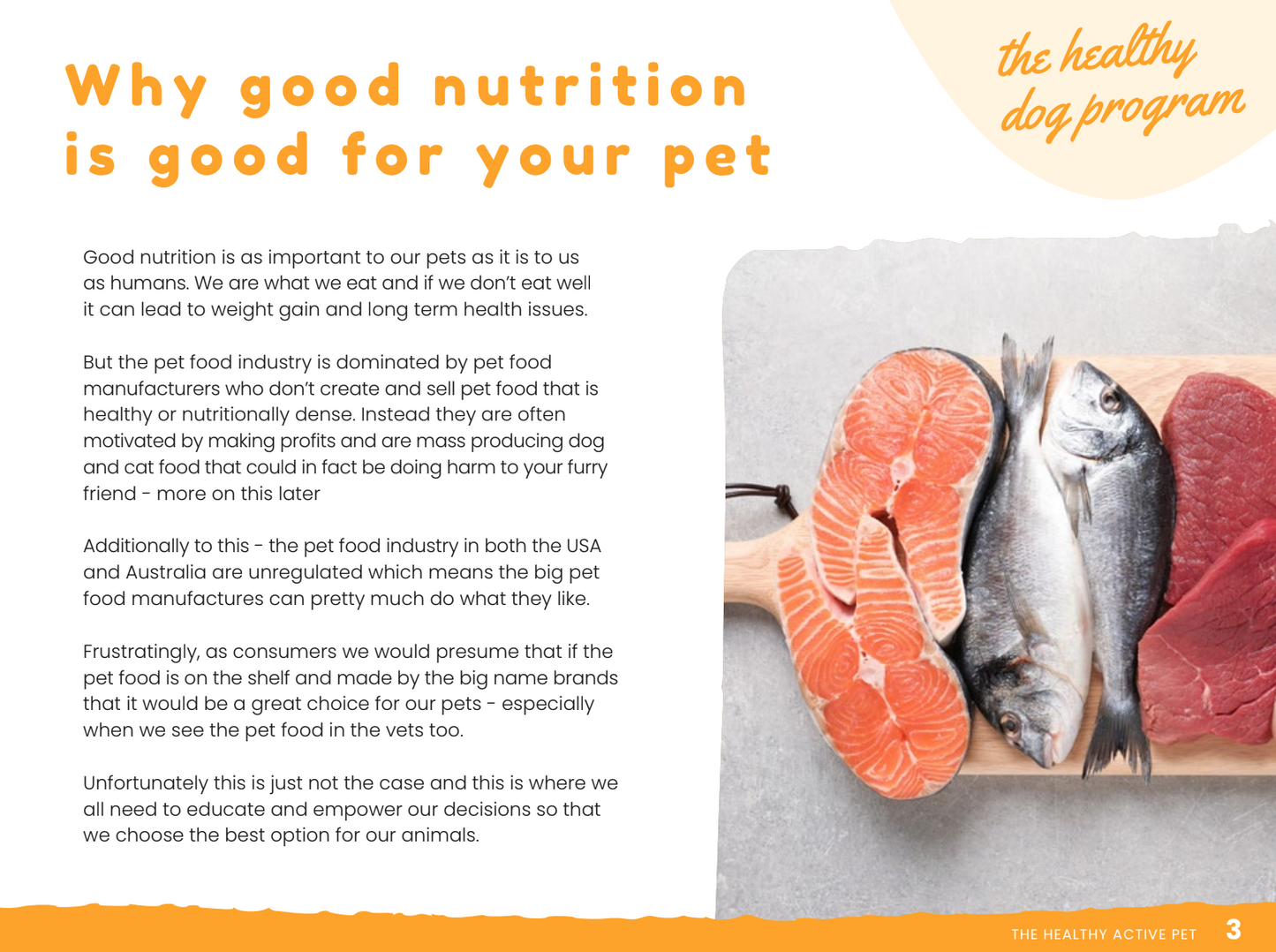 Homemade Healthy Dog Recipe eBook & 4 Week Plan