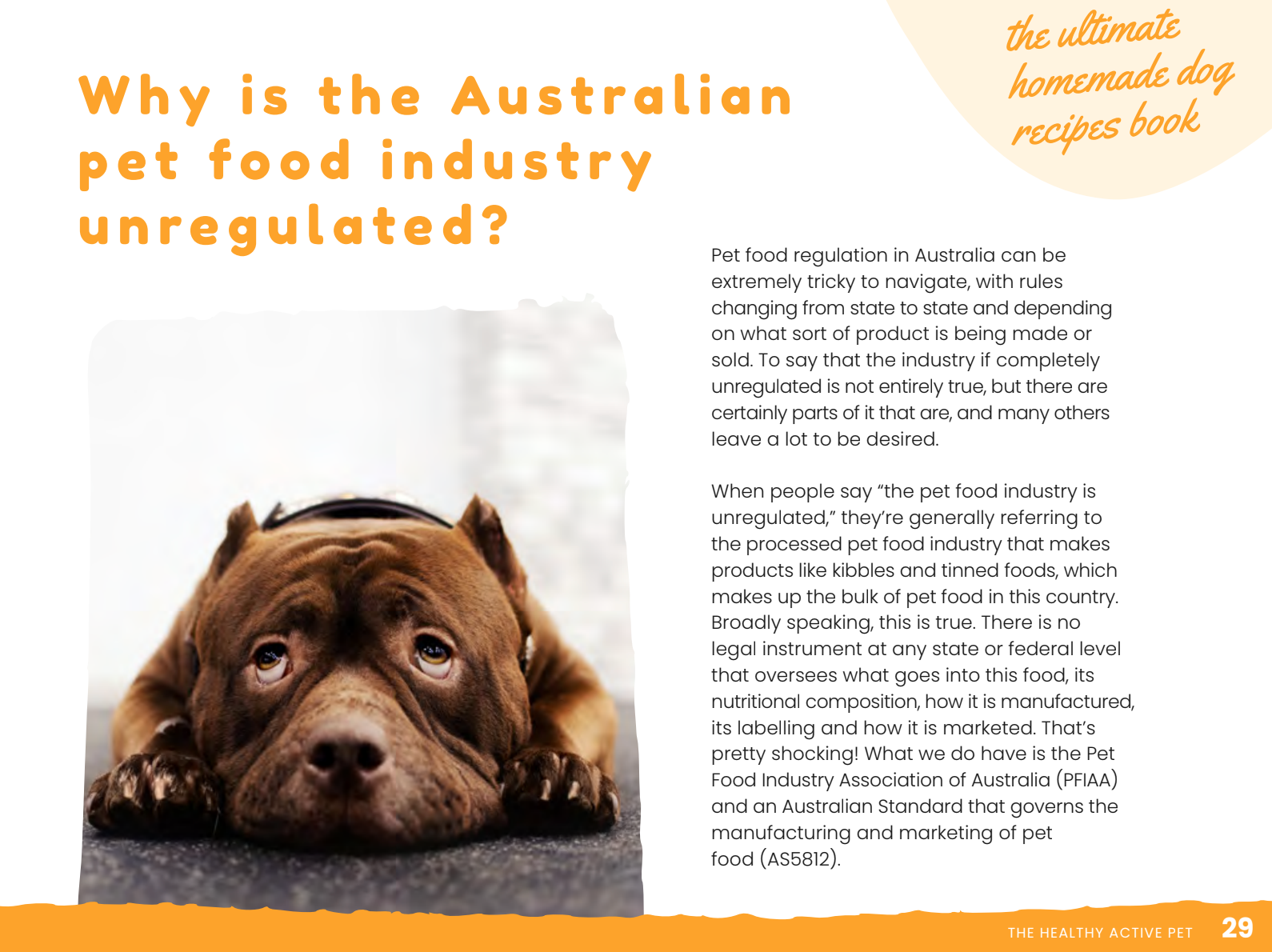 Australian homemade dog food recipes deals