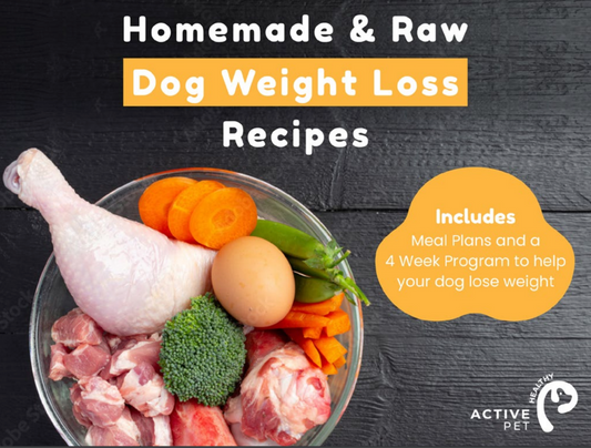 Homemade Dog Weight Loss Recipes & 4 Week Program